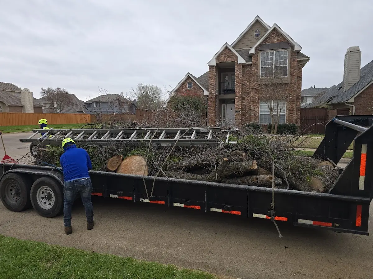 Expert Tree Fertilization with proper safety equipment in Elysian Fields